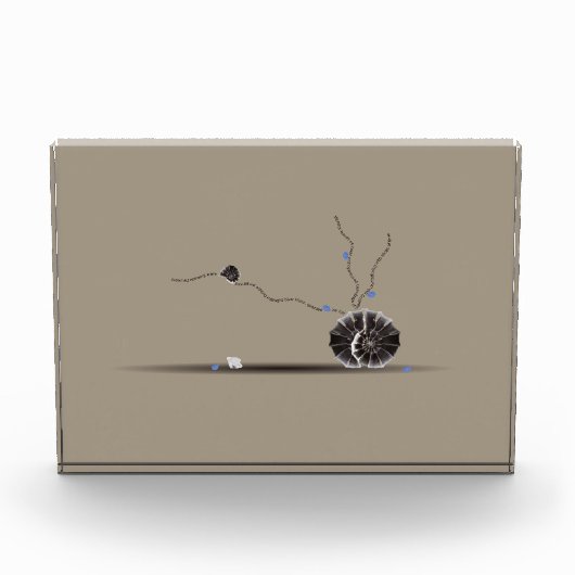 Verfijnd, schitterend, mooi seashell tuingedicht fotoblokken (Voorkant)