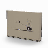 Verfijnd, schitterend, mooi seashell tuingedicht fotoblokken (Rechts)