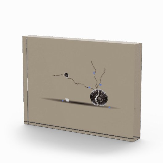 Verfijnd, schitterend, mooi seashell tuingedicht fotoblokken (Rechts)