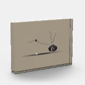 Verfijnd, schitterend, mooi seashell tuingedicht fotoblokken (Links)