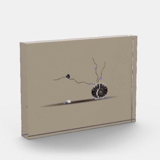 Verfijnd, schitterend, mooi seashell tuingedicht fotoblokken (Links)