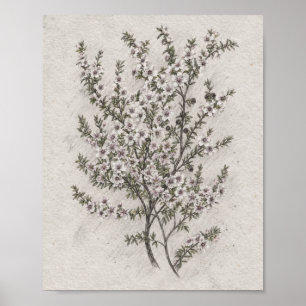 Verfijnde Botanische Interieur Kunst Poster