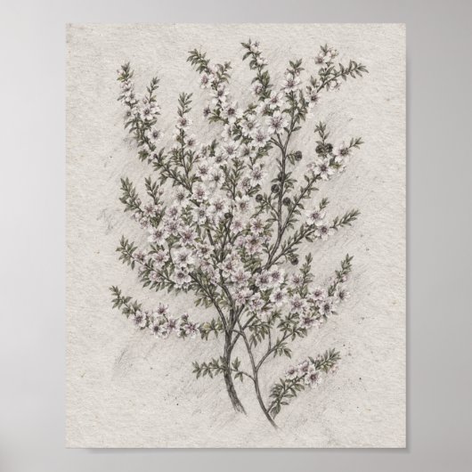 Verfijnde Botanische Interieur Kunst Poster (Voorkant)
