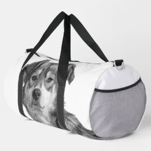 Verfijnde monochrome grote hond van gemengd ras plunjezak