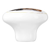 Verfijnde Roodfox Equestrian Knob Keramische Knop (Zijkant)