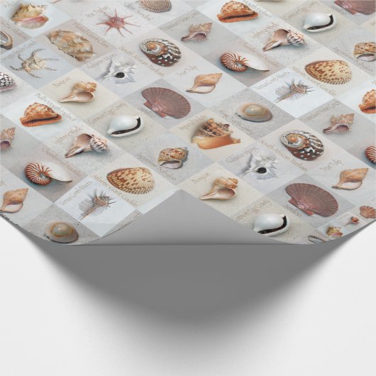 Verfijnde schalen cadeaupapier (Hoek)