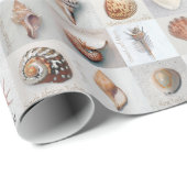 Verfijnde schalen cadeaupapier (Rol Hoek)