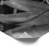 Verfijnde schoonheid poster (Hoek)