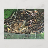 verflauwd briefkaart (Voorkant)