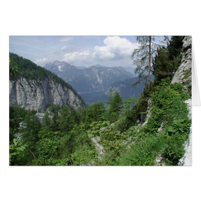 Verfpenseel van de natuur (Voorkant Horizontaal)