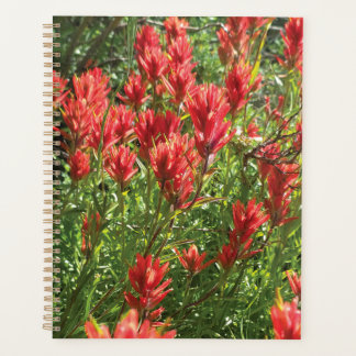 Verfpenseelplanner Planner