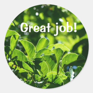 Verfrissende groene bladeren goed werk leraar's ronde sticker