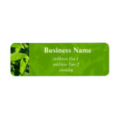 Verfrissende lente, zomergroen adres etiket (Voorkant)
