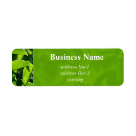 Verfrissende lente, zomergroen adres etiket