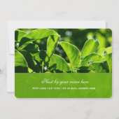 Verfrissende lente, zomergroen verlaat alle feest kaart (Achterkant)