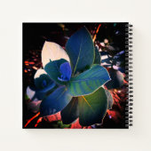 Verfrissing Notitieboek (Achterkant)