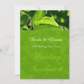 Verfrissingsveer, zomergroene bladeren Christelijk Kaart (Achterkant)