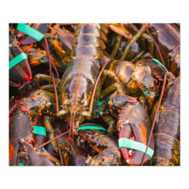 Verfrist van de boot 24x20 Kodak Pro foto (Satin) Afdruk