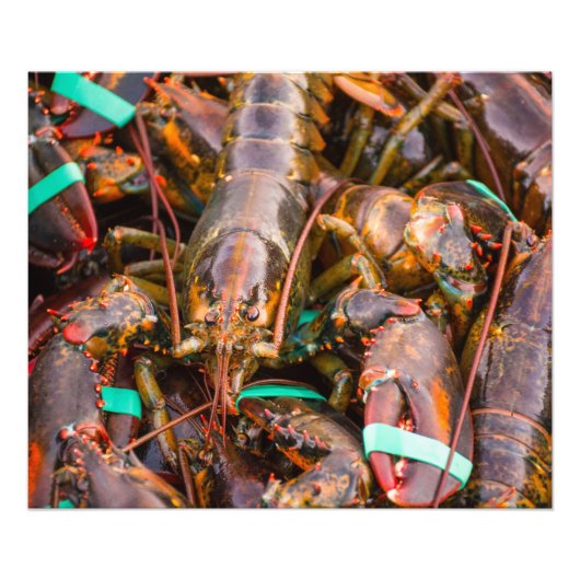 Verfrist van de boot 24x20 Kodak Pro foto (Satin) Afdruk (Voorkant)