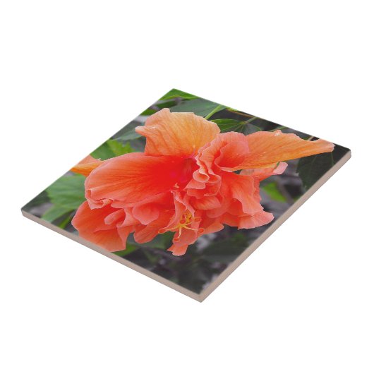 Verfromde Oranje Bloem Tegeltje (Zijkant)