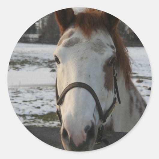 Verfsticker Ronde Sticker (Voorkant)