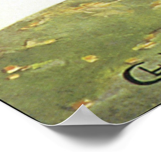 Vergadering D'Aviation Poster (Hoek)