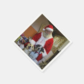 Vergadering Santa Servet (Hoek)