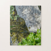 Vergadering te Frog Rock Legpuzzel (Verticaal)