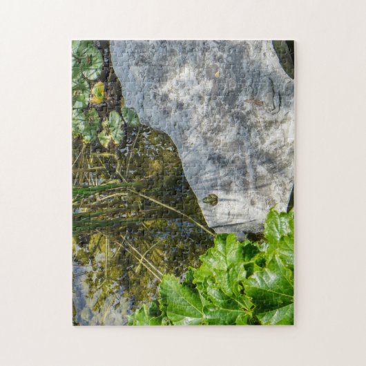 Vergadering te Frog Rock Legpuzzel (Verticaal)