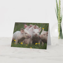 Vergadering van de Drie Kleine Varkens Kaart