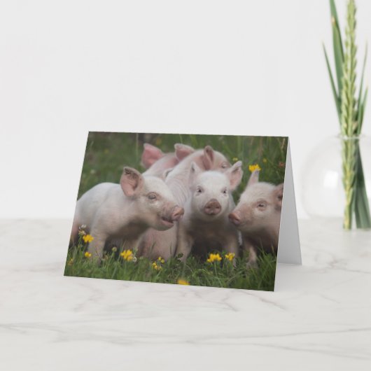 Vergadering van de Drie Kleine Varkens Kaart (Voorkant)