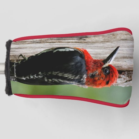 Vergadering van een "Red-Breasted Sapsucker" Golfheadcover (Voorkant)