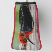 Vergadering van een "Red-Breasted Sapsucker" Golfheadcover (Draai 90)