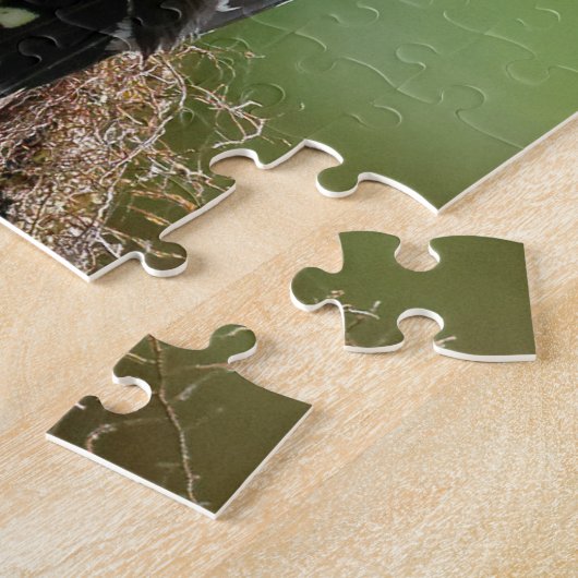 Vergadering van een "Red-Breasted Sapsucker" Legpuzzel (Zijkant)