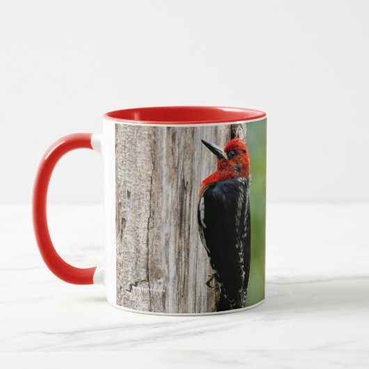 Vergadering van een "Red-Breasted Sapsucker" Mok (Links)