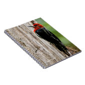 Vergadering van een "Red-Breasted Sapsucker" Notitieboek (Rechterzijde)