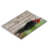 Vergadering van een "Red-Breasted Sapsucker" Notitieboek (Linkerzijde)