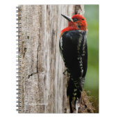 Vergadering van een "Red-Breasted Sapsucker" Notitieboek (Voorkant)