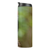 Vergadering van een "Red-Breasted Sapsucker" Thermosbeker (Geroteerd rechts)