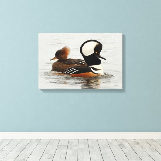 Vergadering van Gedekte Merganser Ducks bij de Pon Canvas Afdruk (Insitu (Houten vloer))