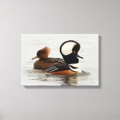 Vergadering van Gedekte Merganser Ducks bij de Pon Canvas Afdruk (Voorkant)