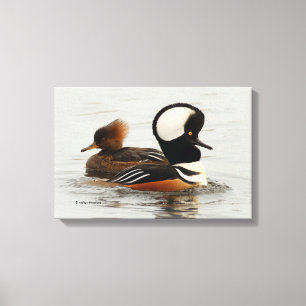 Vergadering van Gedekte Merganser Ducks bij de Pon Canvas Afdruk
