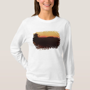 Vergadering van Jacob en Esau T-shirt