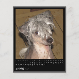 vergaderrooster november 2012