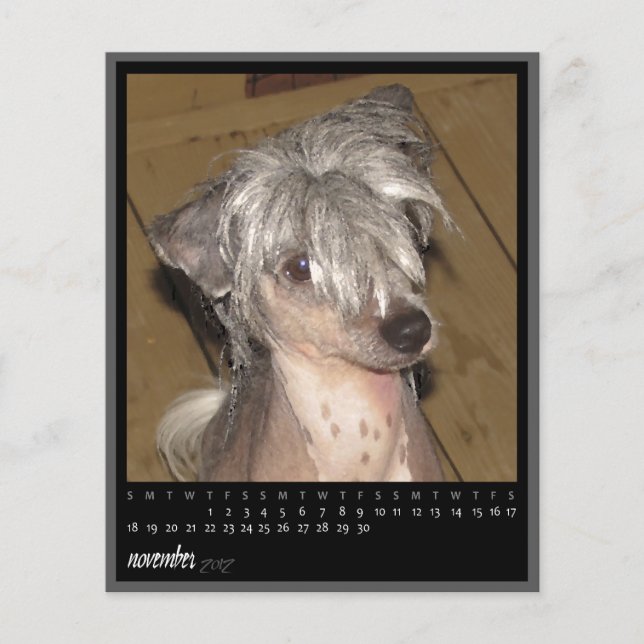 vergaderrooster november 2012 (Voorkant)