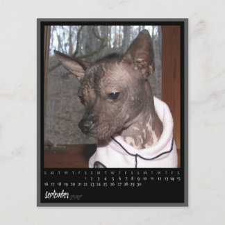 vergaderrooster september 2012