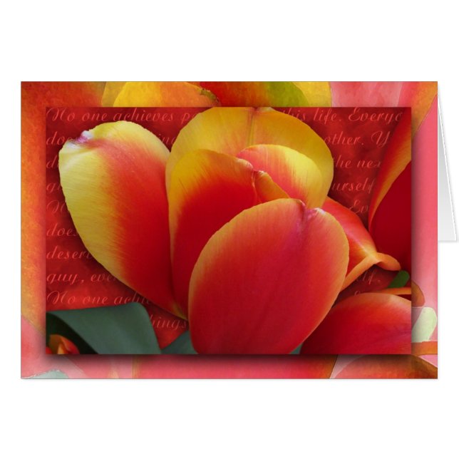 Vergeef jezelf (Voorkant Horizontaal)