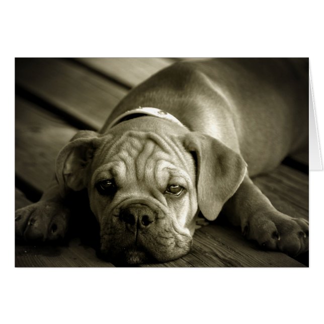 Vergeef me (Voorkant Horizontaal)