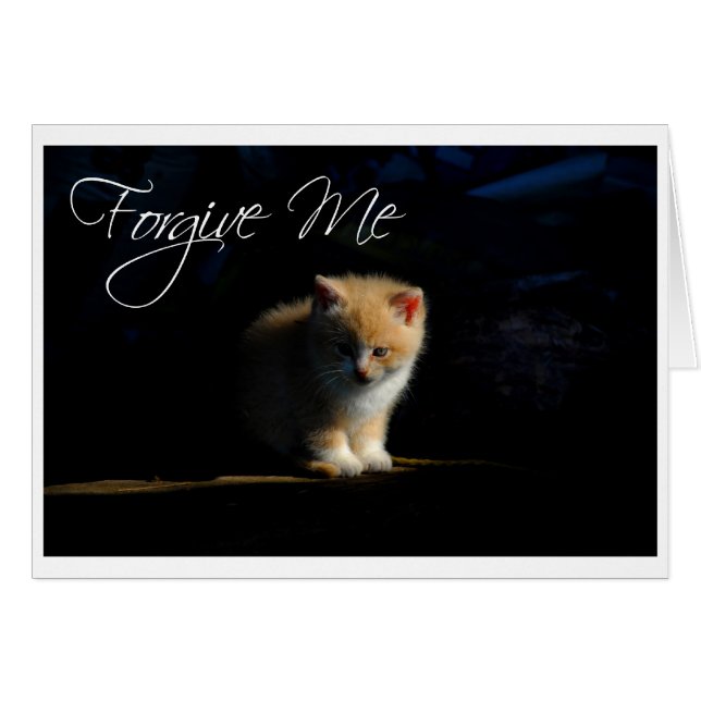 Vergeef me (Voorkant Horizontaal)