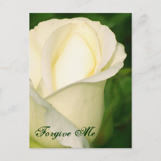 Vergeef me/ Any Occasion_Briefkaart Briefkaart (Voorkant)